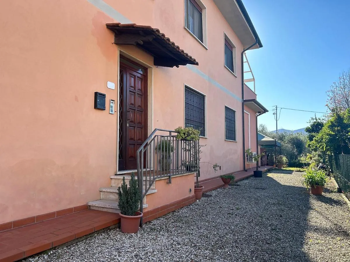 Albi'S House,Terrazza ,Wi-Fi, Parcheggio, Ac Apartman Lucca 0*,