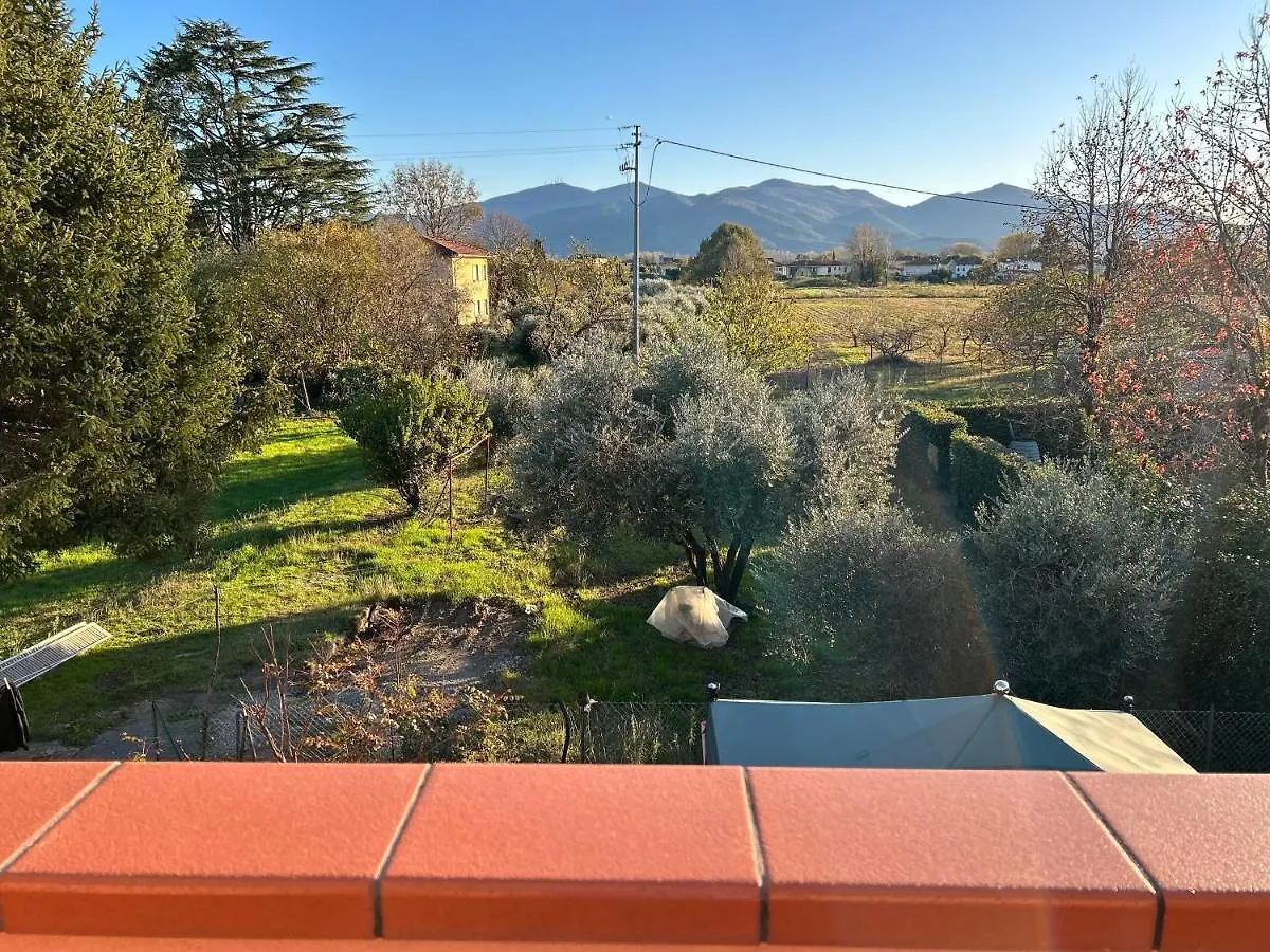 Ferienwohnung Albi'S House,Terrazza ,Wi-Fi, Parcheggio, Ac Lucca Apartment