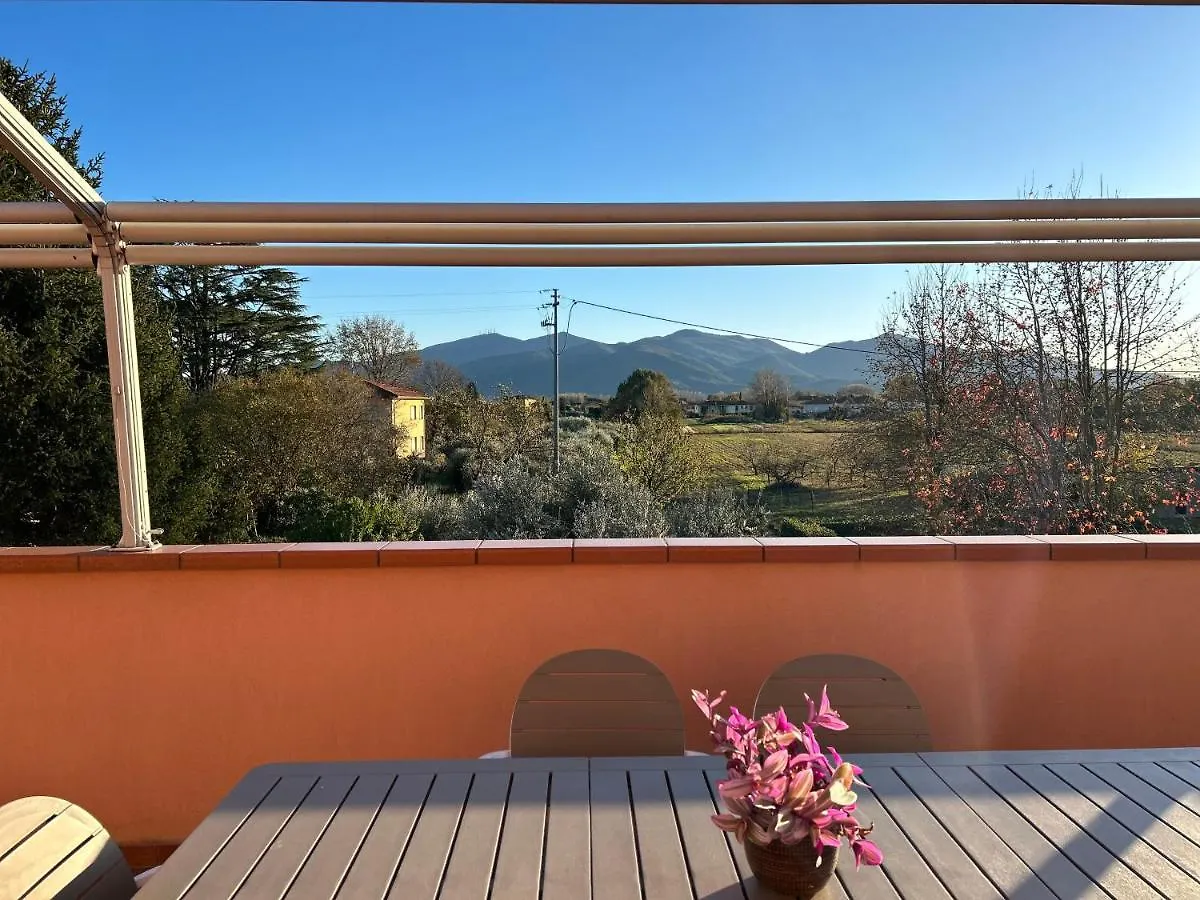 Albi'S House,Terrazza ,Wi-Fi, Parcheggio, Ac Apartment Lucca